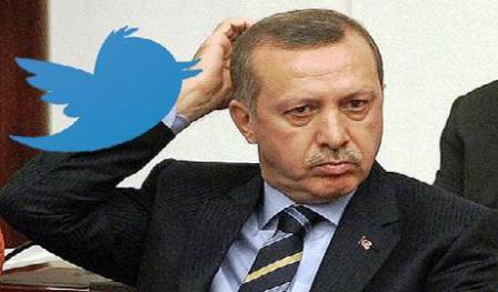 tayyip twit