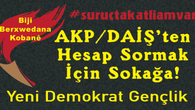 Yeni demokrat gençlik