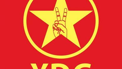 ydg logo