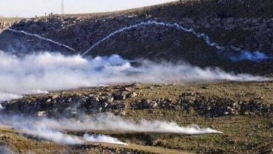 cizre ye yuruyen botan yuruyusculerine polis saldirdi