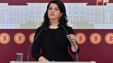 pervin buldan