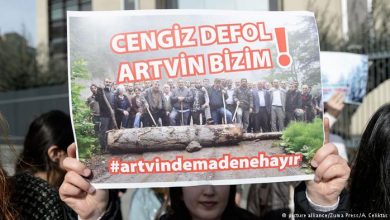 artvin maden