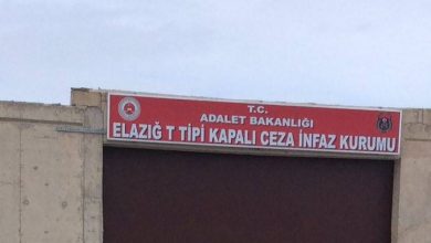 elazig t tipi