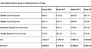 ekran resmi 2018 01 25 12.44.34