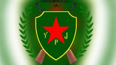 YPJ