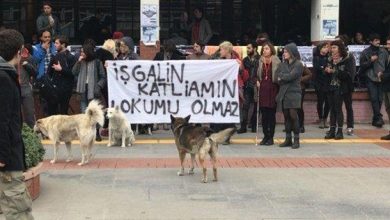 boğaziçi öğrencilerin bir gözaltı daha